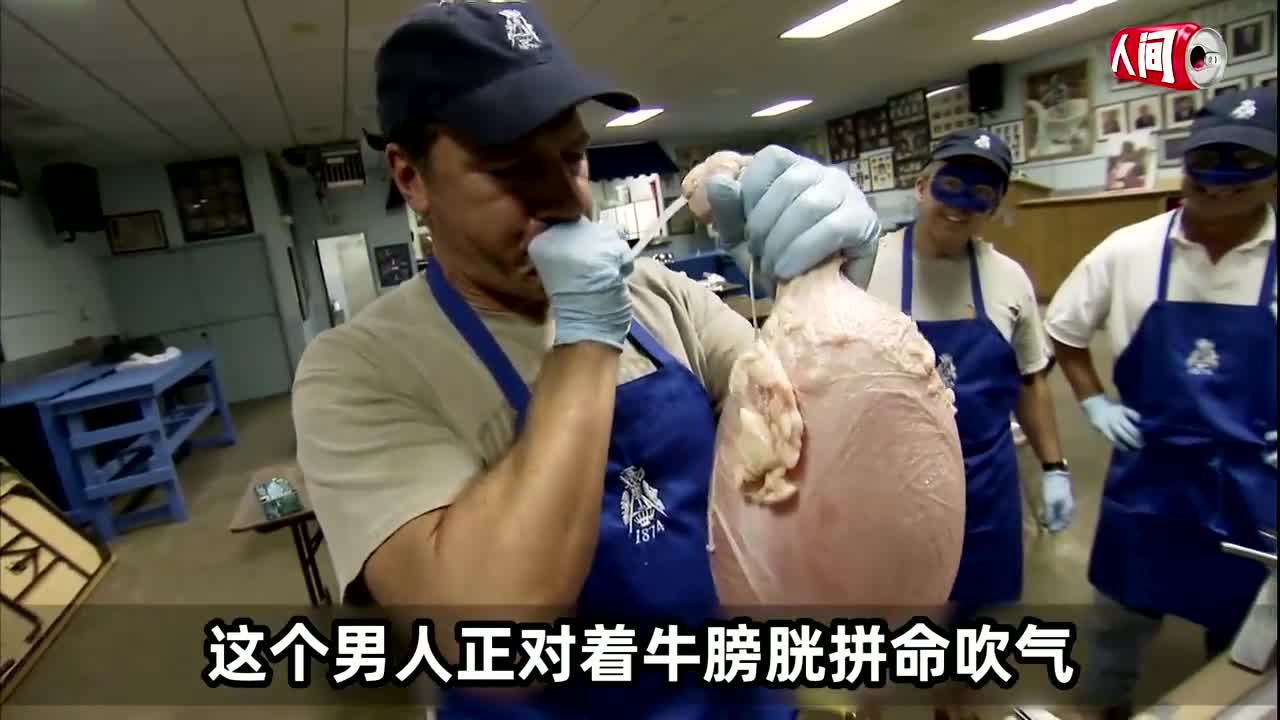 史上最奇葩职业:膀胱塑形师,给牛膀胱充气到爆是什么体验?