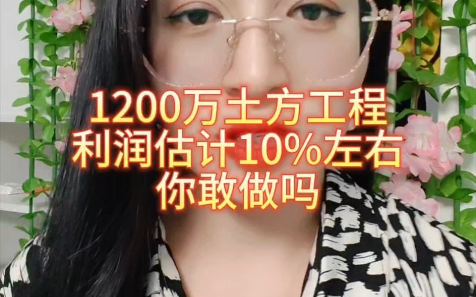 1200万土方工程,利润估计10%左右,你敢做吗哔哩哔哩bilibili