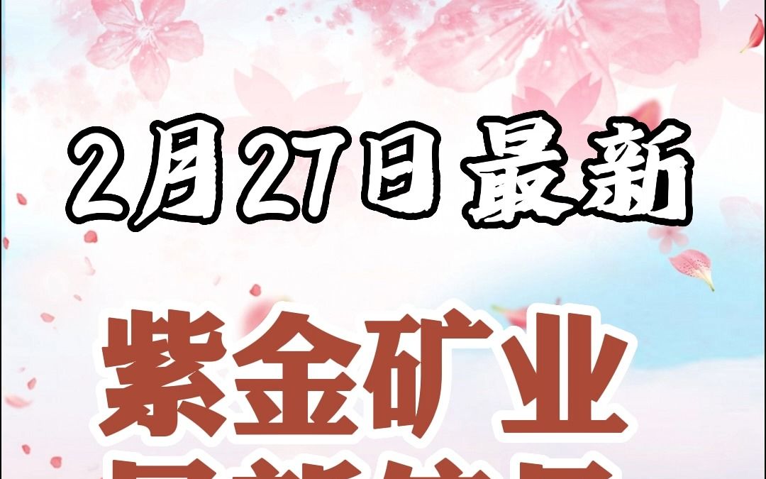 2.27紫金矿业,金发拉比,科林电气哔哩哔哩bilibili