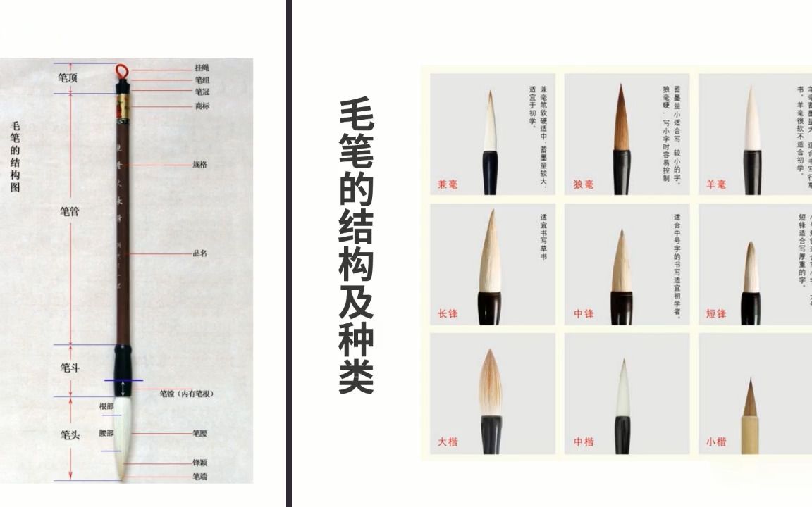 第02节中国书法基础知识-认识毛笔--书法硬笔楷书草书行书草书美术