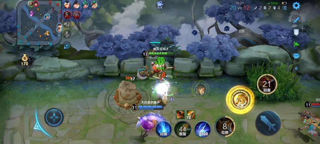 王者荣耀——打吧打吧走地鸡!