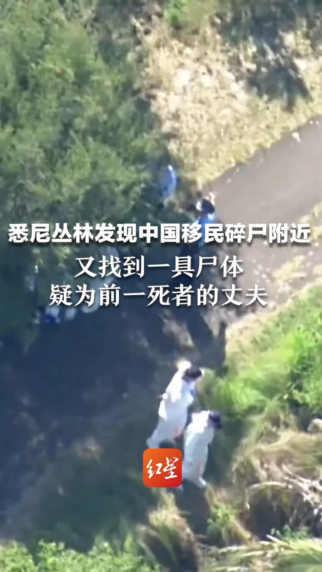 悉尼丛林发现中国移民碎尸附近 又找到一具尸体 疑为前一死者的丈夫哔哩哔哩bilibili