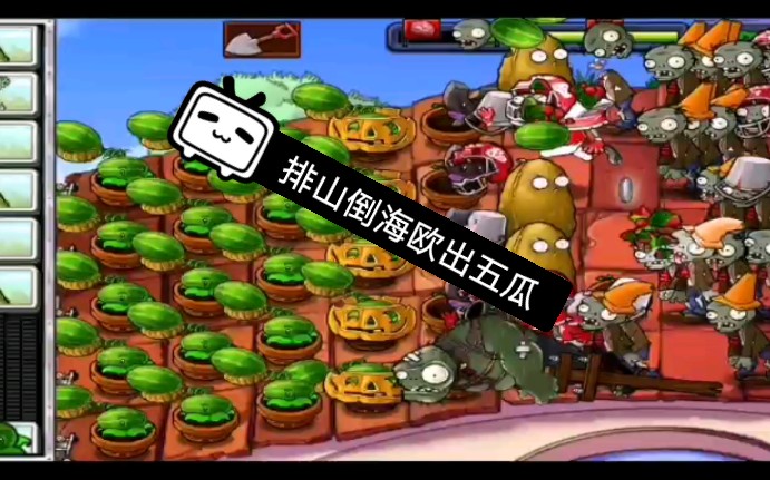 pvz北美版植物大战僵尸排山倒海只用一个灰烬过关最后刷出了五个瓜