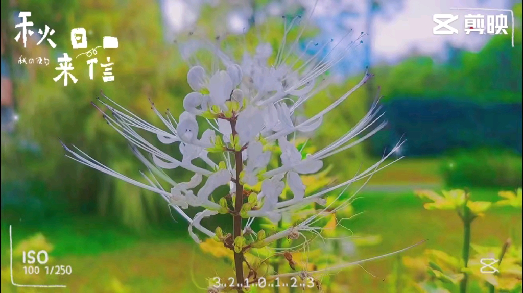 [图]风景的美，不取决于风景，而是取决于你的内心；你心中有景，何处不风景；心中有爱，又何惧人生荒凉