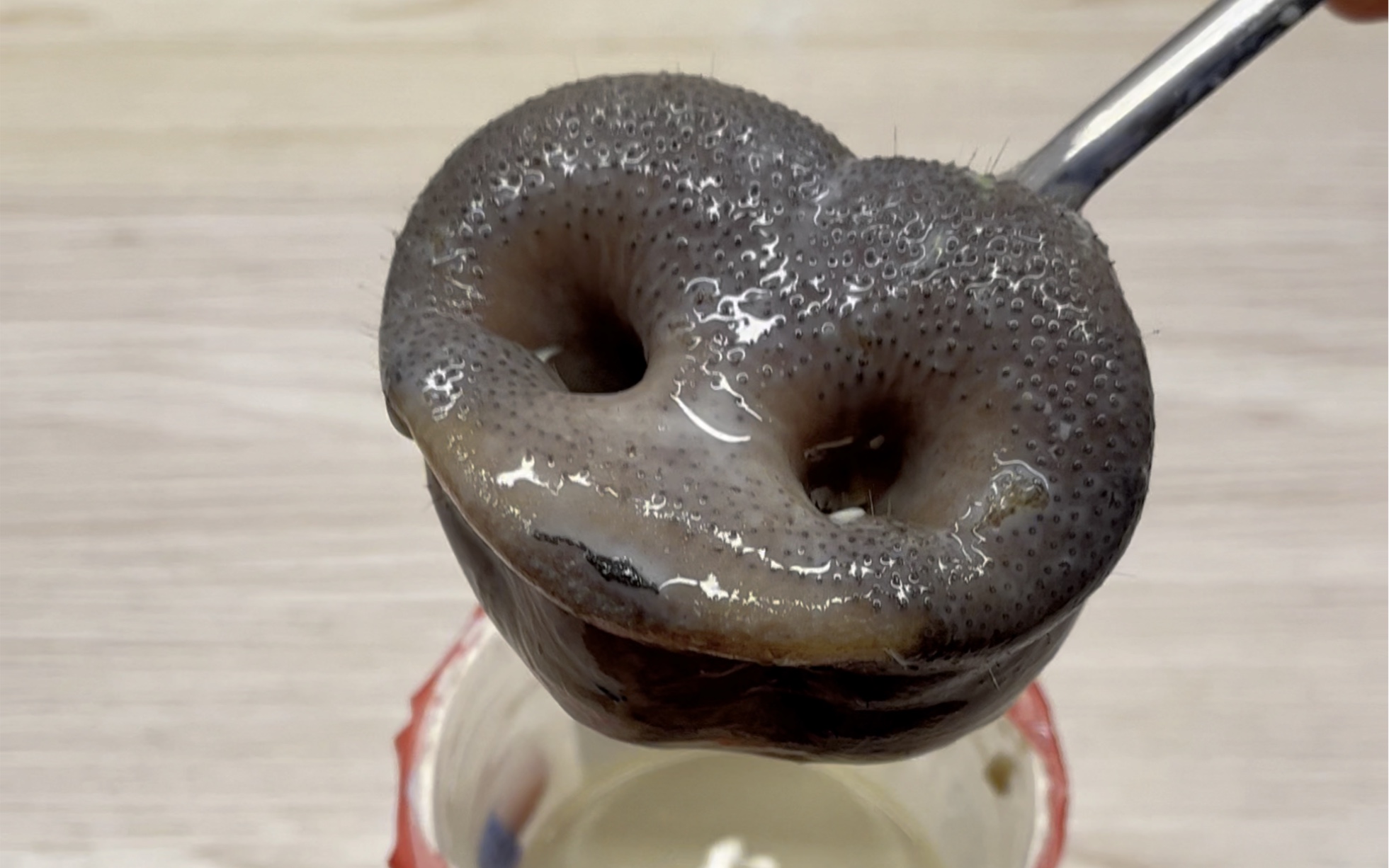 真猪奶茶#真猪奶茶 #搞笑 #离谱