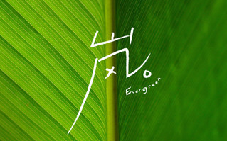 [图]CORSAK // 岚 Evergreen