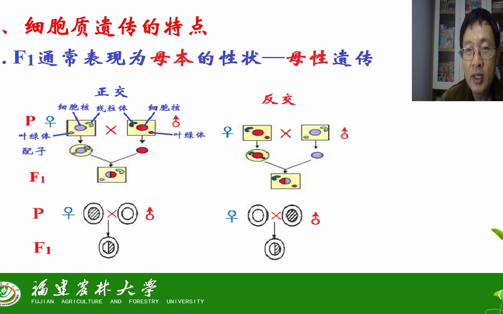 第九章 细胞质遗传第一节 细胞质遗传茶创2020级哔哩哔哩bilibili