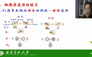 Download Video: 第九章 细胞质遗传-第一节 细胞质遗传-茶创2020级