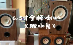 Tải video: 总成本400块，6.5寸全频喇叭装箱试听，梁咏琪《胆小鬼》