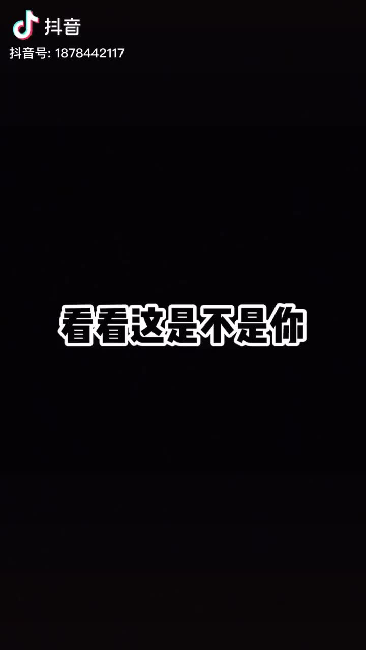 澈子精选语录~哔哩哔哩bilibili