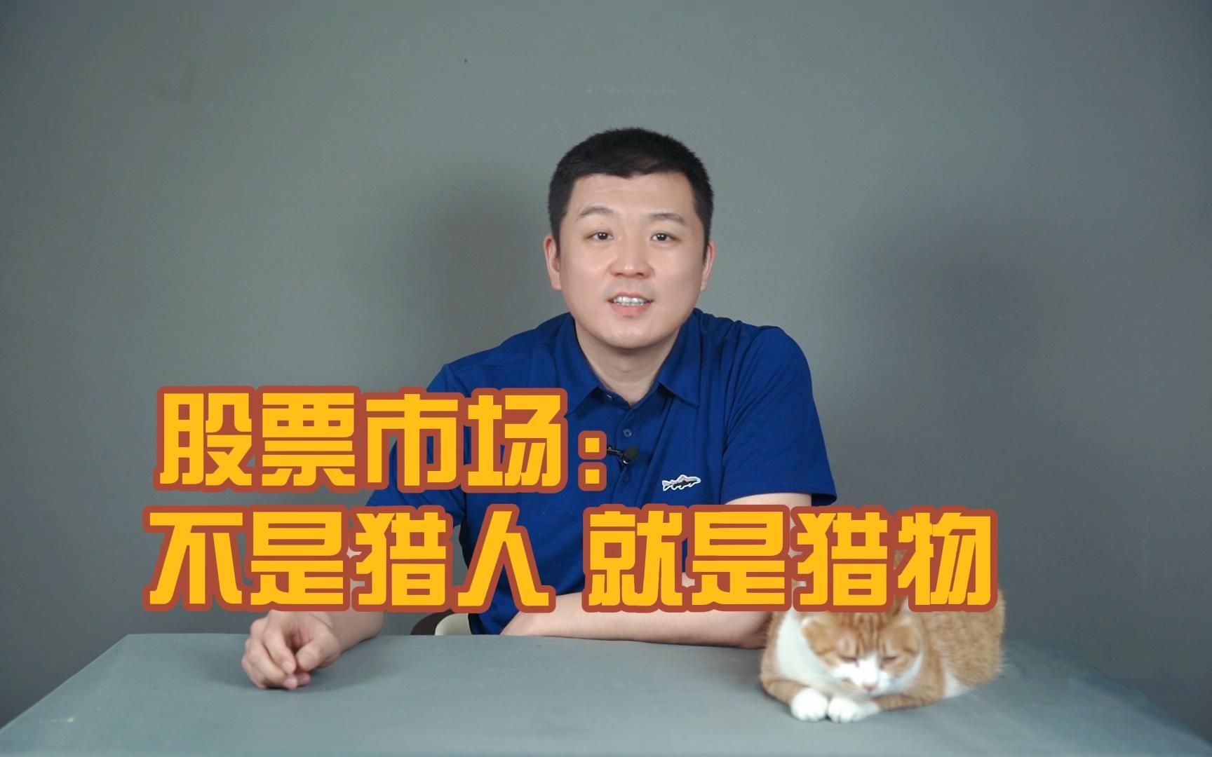 股票市场:不是猎人,就是猎物哔哩哔哩bilibili