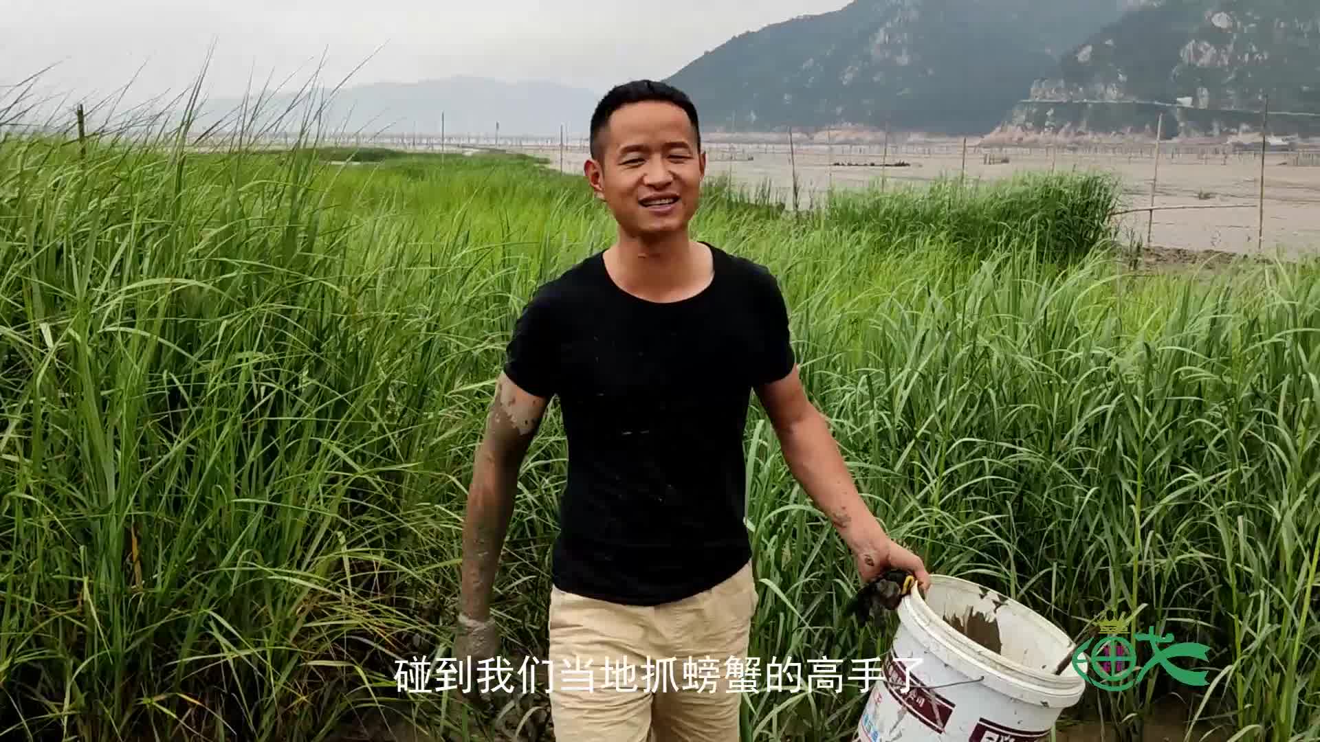 小明跟着抓青蟹大神赶海一天能抓五六百只青蟹这才是高手