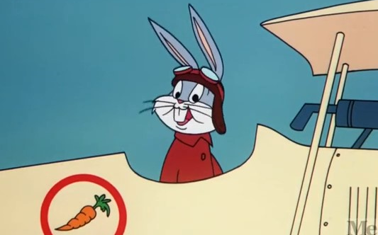 【渣翻/兔八哥】 愚蠢的巡逻队~dumb patrol