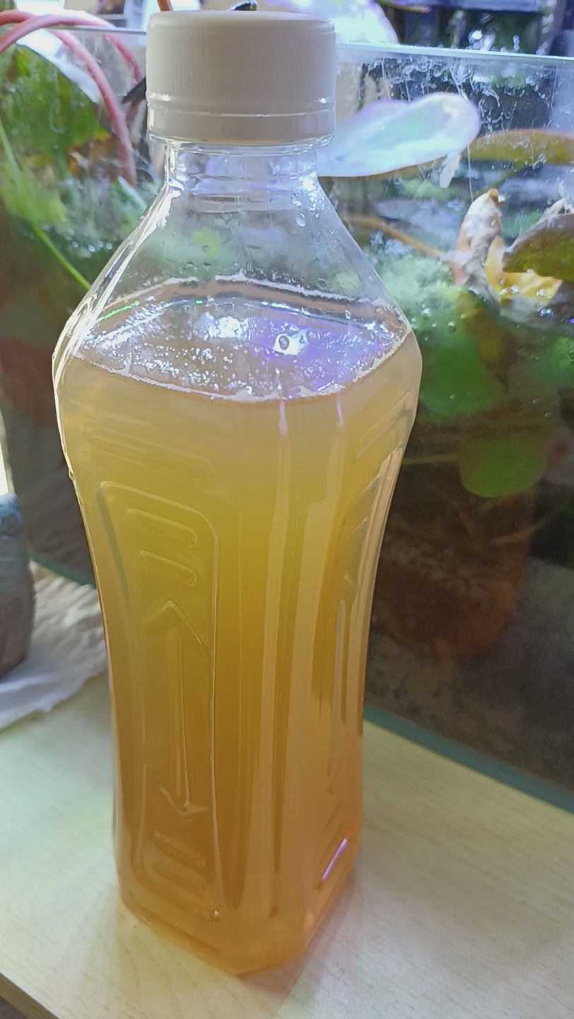 农药化肥不要装在饮料瓶里,至少把包装去掉,最好贴个标签