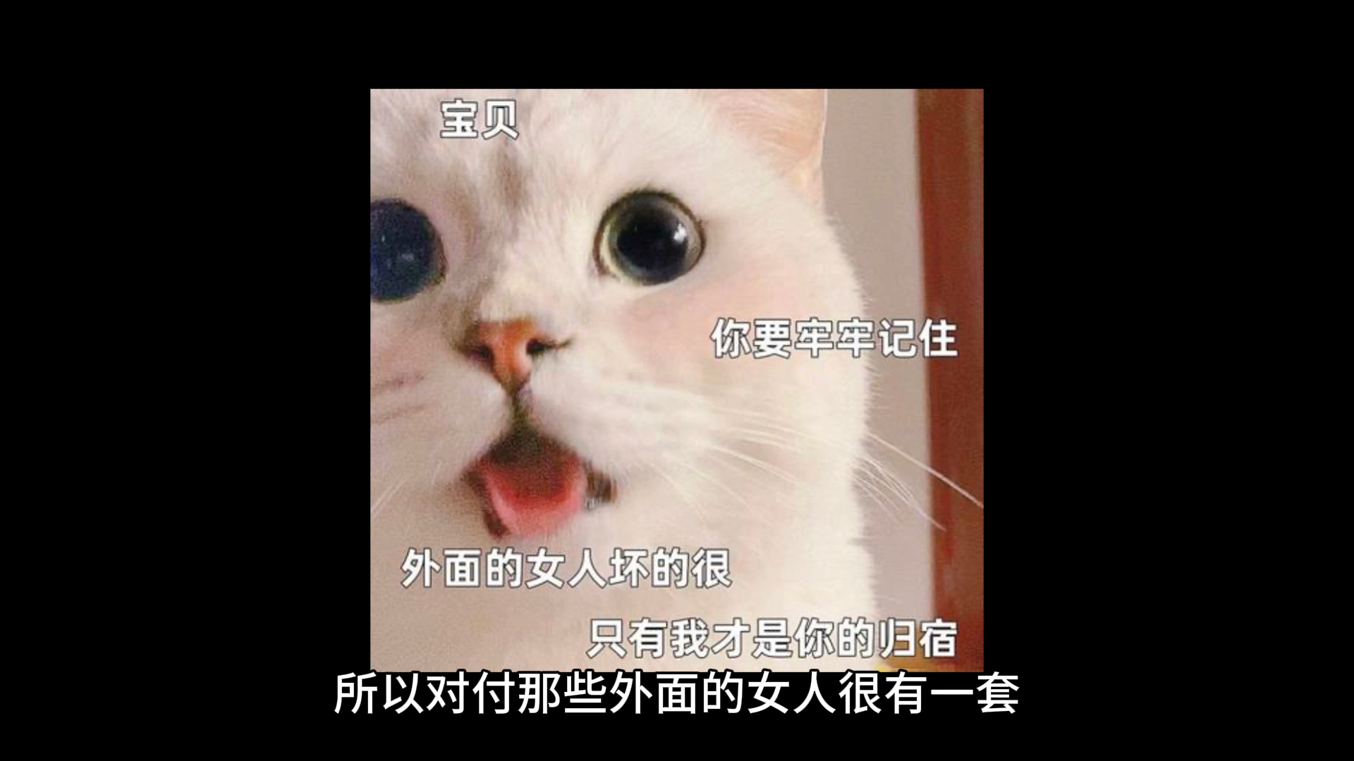 一句话八卦:一指弹