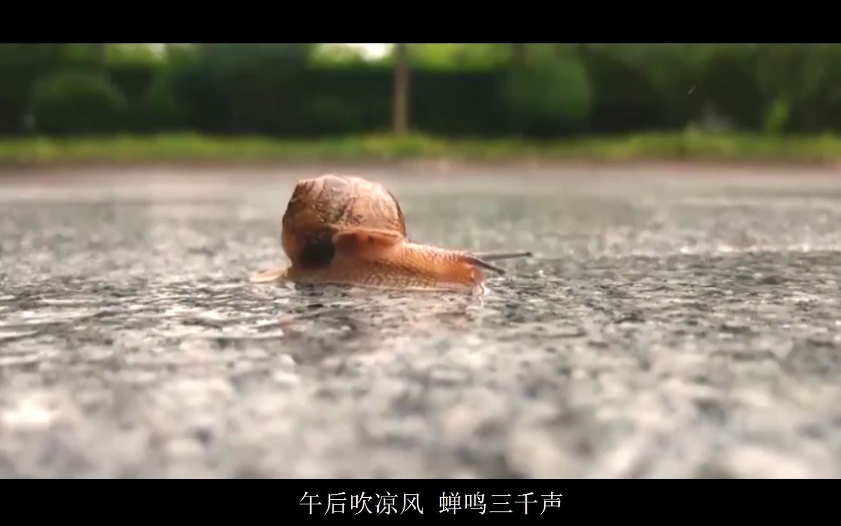 孟凡明《风铃》MV哔哩哔哩bilibili