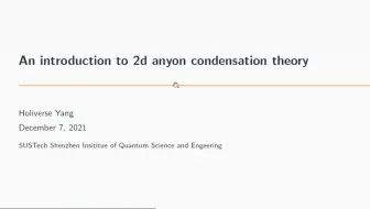 [BIMSA Talks]杨圣宇：An Introduction to 2d anyon condensation theory