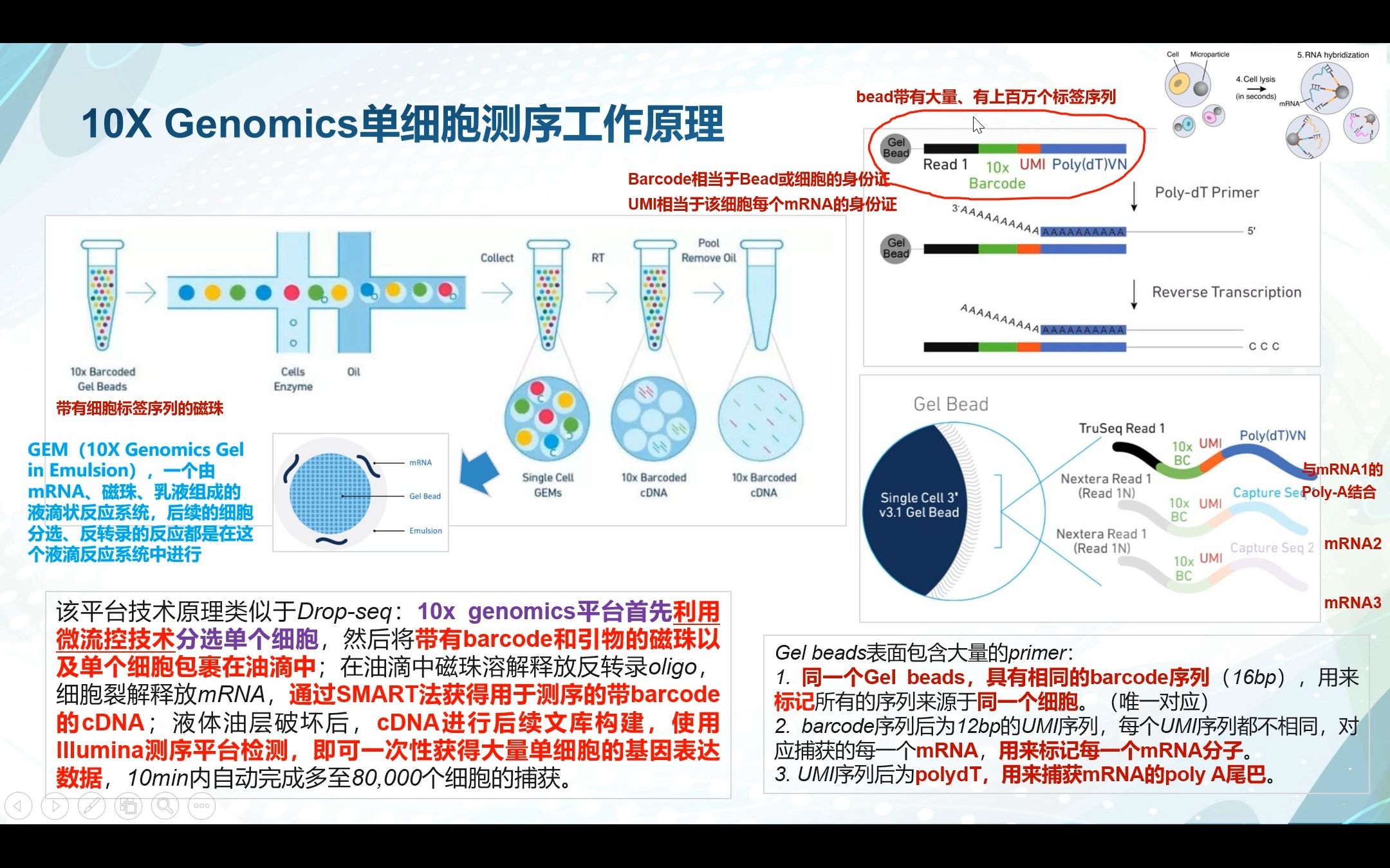 第二篇文献分享part2单细胞测序的工作原理精神分裂症的先天免疫研究哔哩哔哩bilibili