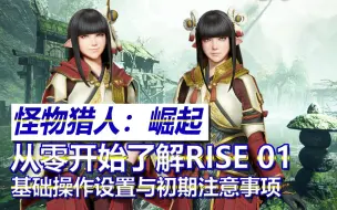 Download Video: 【怪物猎人崛起】从零开始了解RISE 新手向教学攻略01：基础操作设置与初期注意事项 | NS青年团