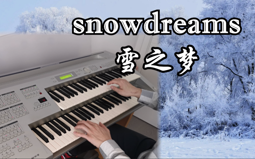【双排键】snowdreams雪之梦丨班得瑞唯美轻音乐