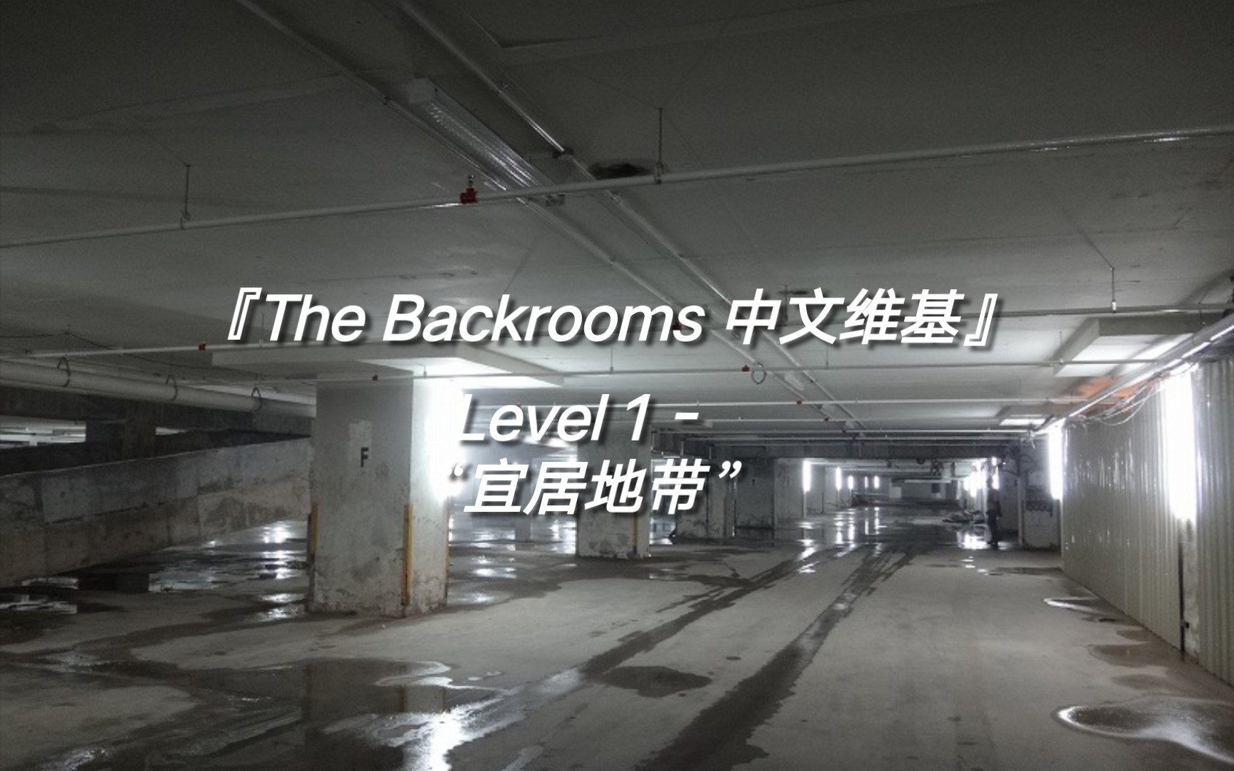 『The Backrooms 中文维基』Level 1  “宜居地带”