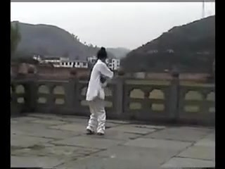 Wudang Baguazhang (武当八卦掌)  Master Yuan Xiu Gang (袁修刚)哔哩哔哩bilibili