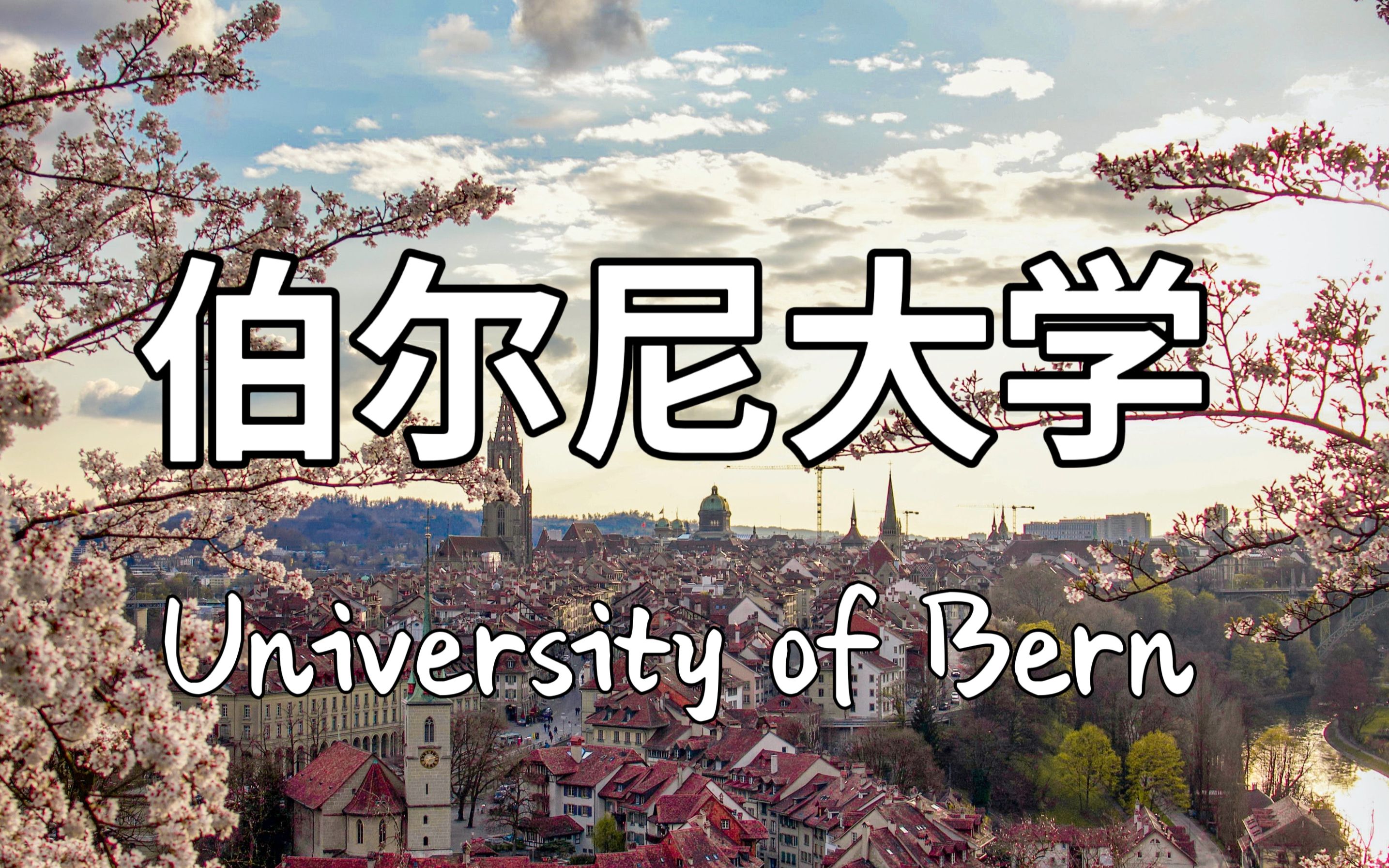 【瑞士留学】伯尔尼大学硕士博士申请流程文书材料|研究生哔哩哔哩bilibili