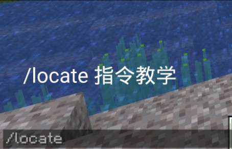 /locate 指令教学 (补充)我的世界教学