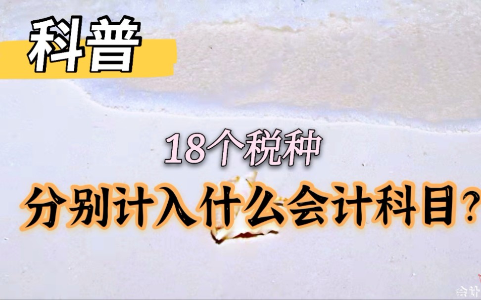 我国现有的18个税种分别是计入管理费用,税金及附加,还是资产成本,您知道吗?哔哩哔哩bilibili