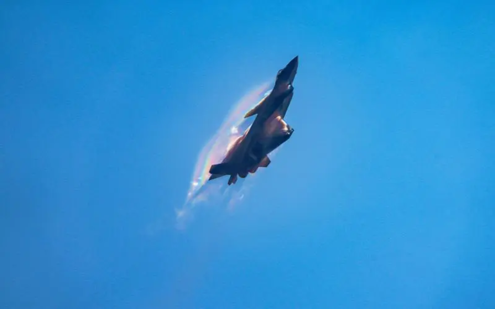 壁纸 动物 鸟 鸟类 1728_1080