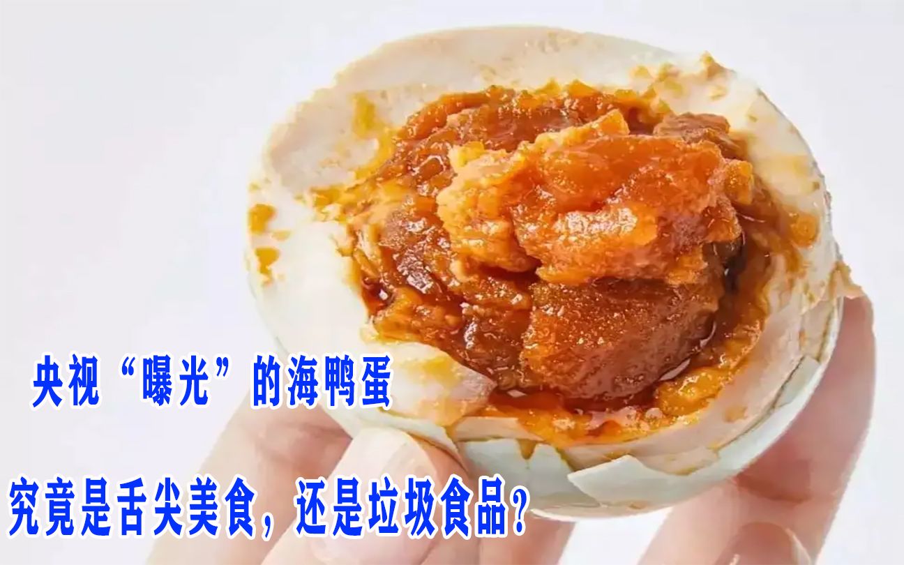 央视“曝光”的海鸭蛋,究竟是舌尖美食,还是垃圾食品?去了解一下哔哩哔哩bilibili