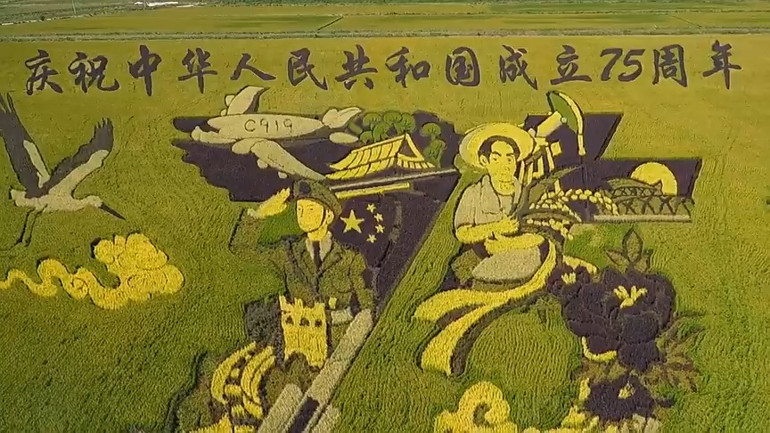 东营市垦利区:稻田画风景区为游客带来全新体验