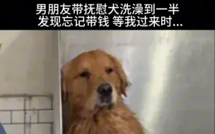 Скачать видео: 抚慰犬：心都要碎噜