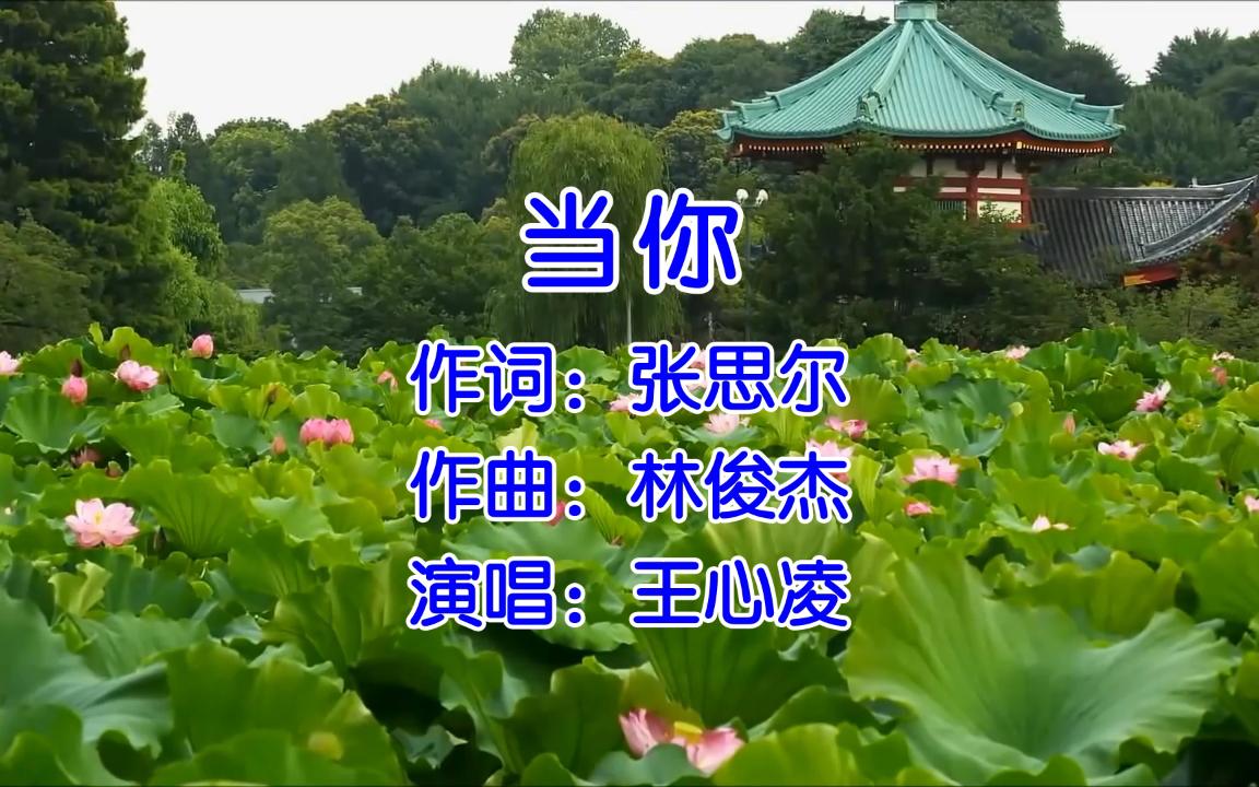 [图]【无损音质】当你 - 王心凌