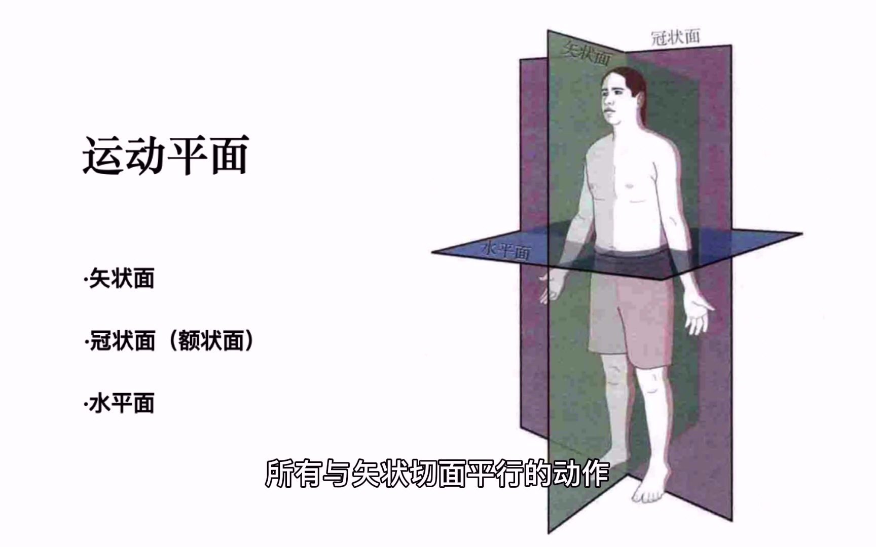 [图]健身私教、运动康复、体态矫正必学（学完，你比私教更专业）