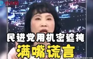 Download Video: 陈凤馨:民进党用机密遮掩满嘴谎言