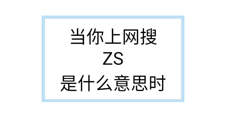 当你上网搜ZS是什么意思时......哔哩哔哩bilibili