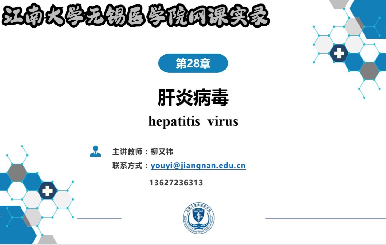 [图][医学微生物学]_28_肝炎病毒