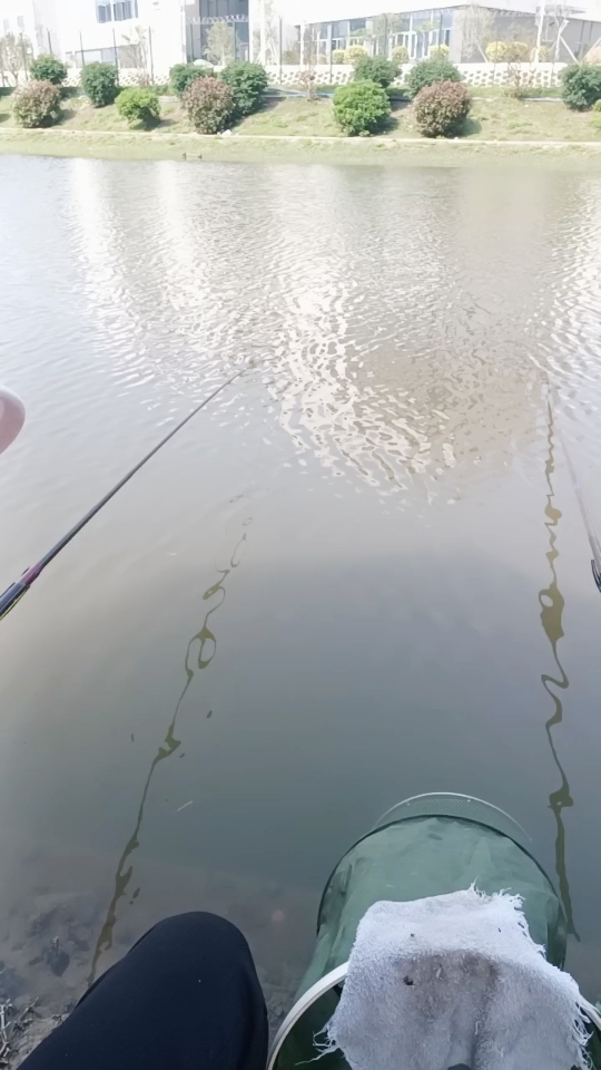 钓鱼:享受大自然的宁静与放松,钓鱼是一件很享受的事情