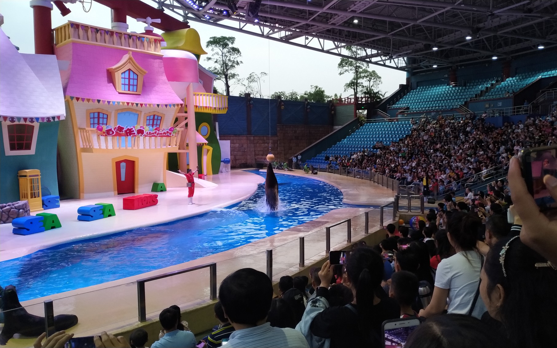 【海狮】珠海长隆海洋王国海狮剧场表演_哔哩哔哩_bilibili