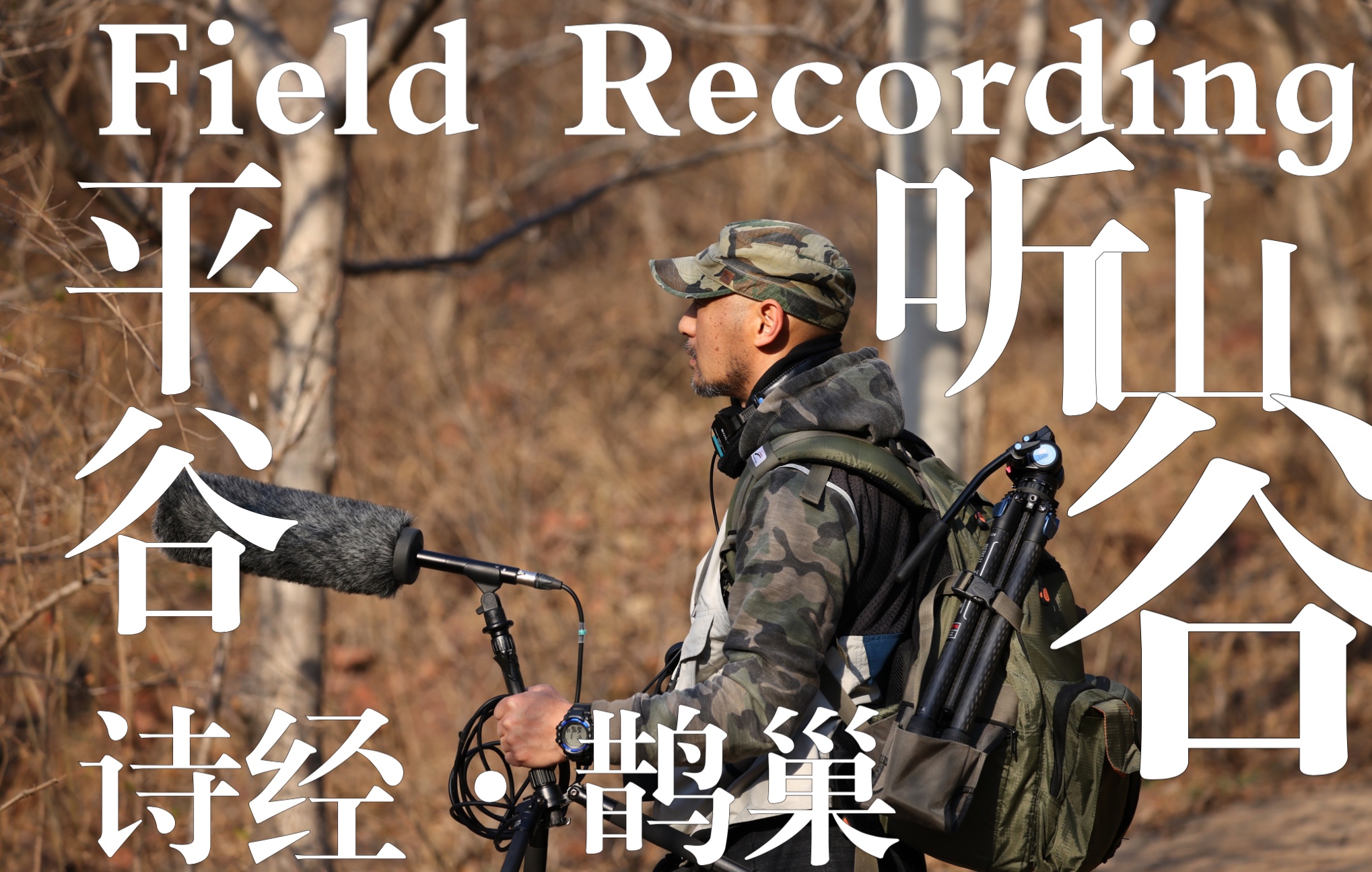 [图]野外录音/实地录音-Field Recording-平谷，山谷黄昏-诗经·鹊巢