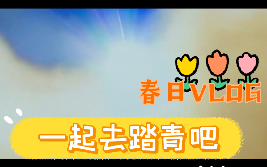 活动作品朗朗乾坤光天化日喵君们居然在运动