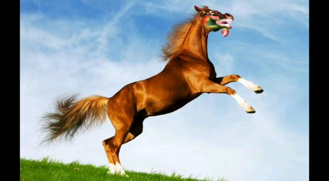 奔腾的骏马