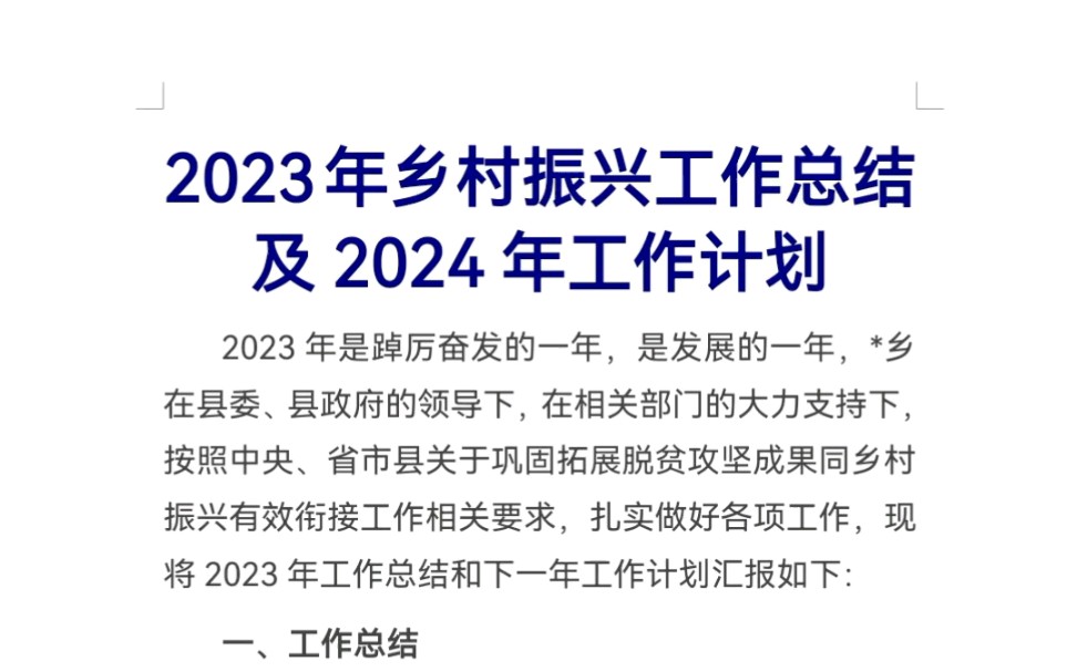 2023年乡村振兴工作总结及2024年工作计划哔哩哔哩bilibili