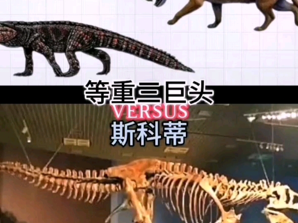 论战等重三巨头vs极限霸王龙