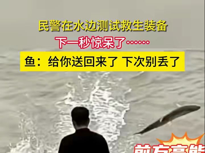 民警在水边测试救生装备,下一秒惊呆了... 鱼:给你送回来了,下次别丢了哔哩哔哩bilibili