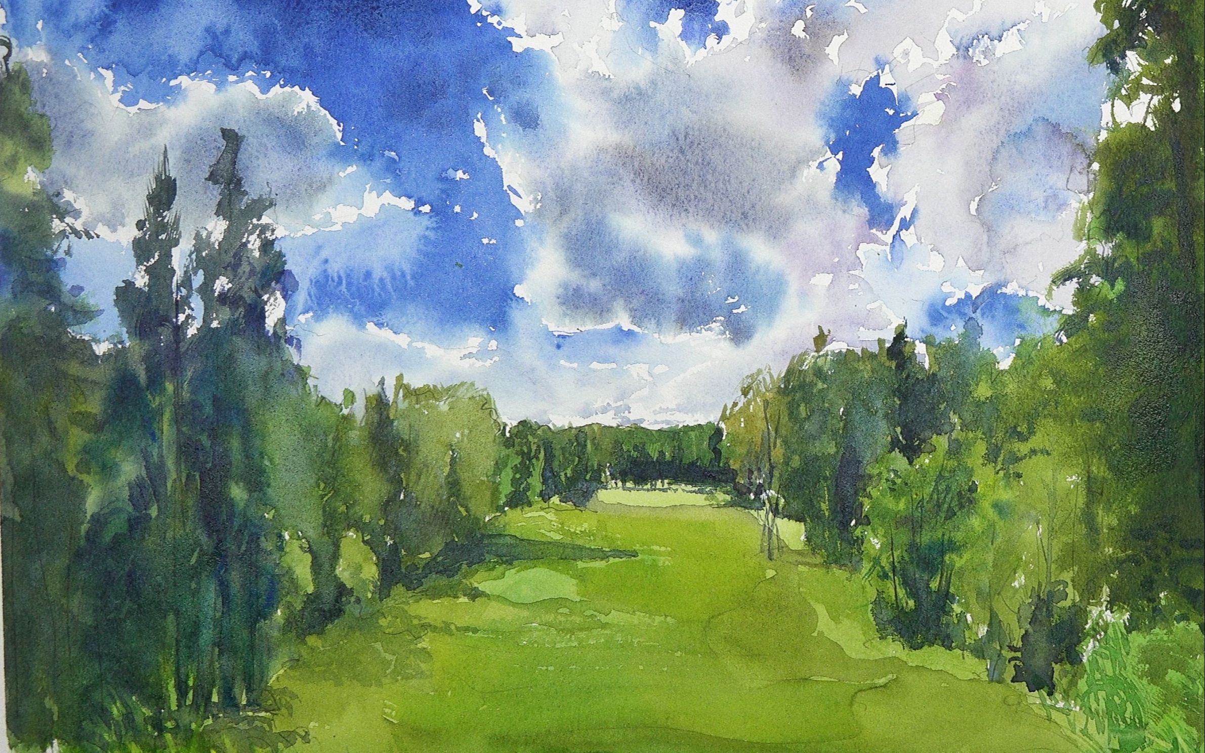 曾小妖水彩风景小练习之天空,树木,草地