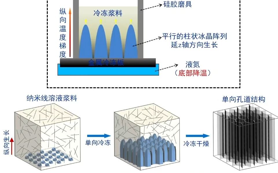 20231025南方科技大学俞书宏仿生材料与交叉科学哔哩哔哩bilibili