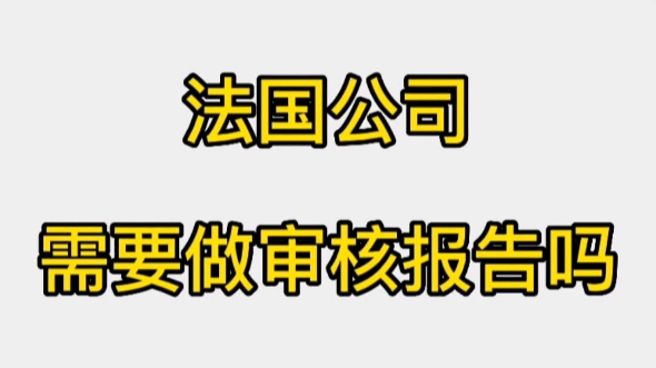 法国公司需要做审核报告吗哔哩哔哩bilibili