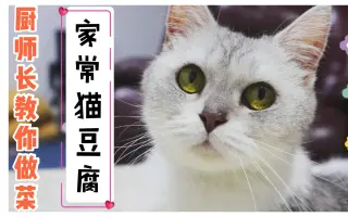 猫豆腐 搜索结果 哔哩哔哩 Bilibili